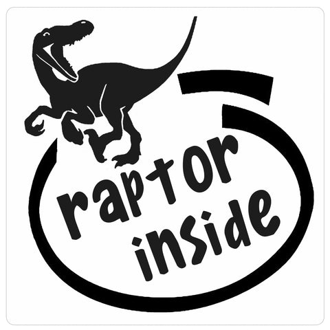 Raptor Inside